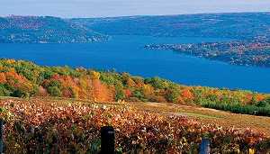 FingerLakes NY