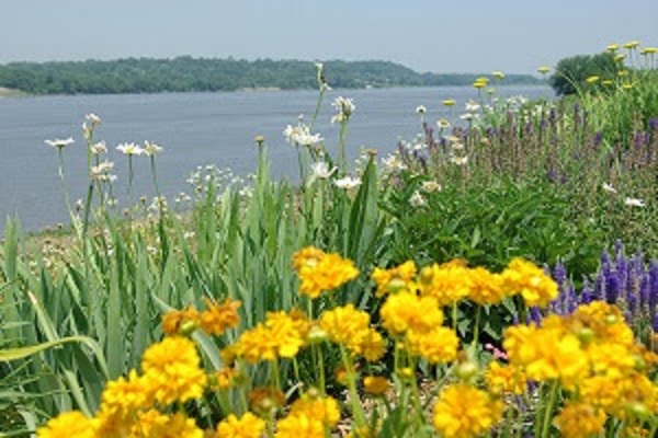 A Journey along the Mississippi and Illinois River&nbsp;Towns