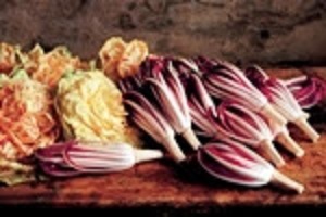 chicory radicchio