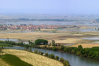 Po River Vercelli