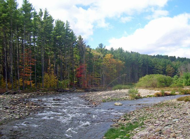 Neversink River