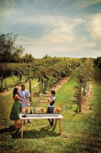 WineTasting in Loudon County