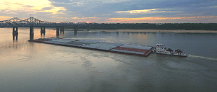 Lower Mississippi Travel by Land and River&nbsp;Cruise