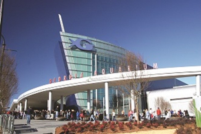 georgia aquarium