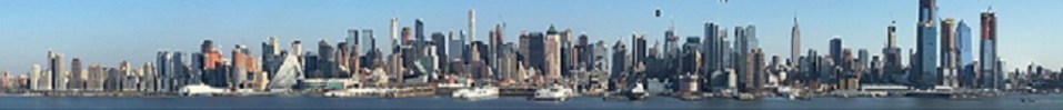 NYC View