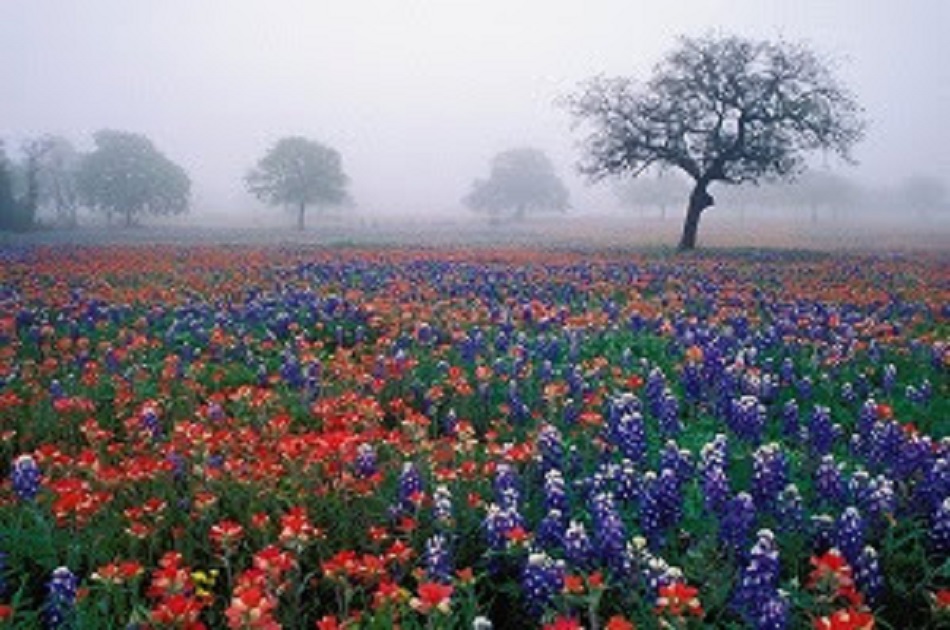 Texas and Oklahoma City and Country&nbsp;Destinations