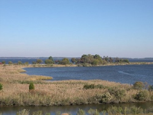 ChesapeakeTidal Wetlands