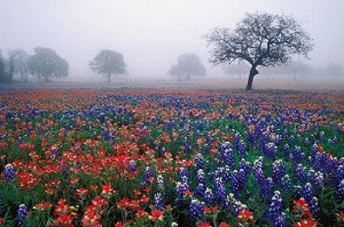 Experience the Hill Country