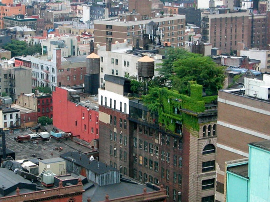 Green Leases