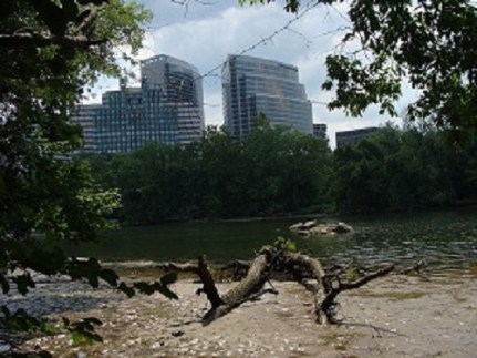 Rosslyn, VA from Roosevelt Island