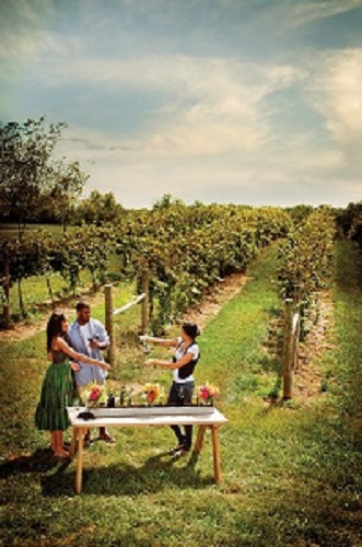 WineTasting in Loudon County