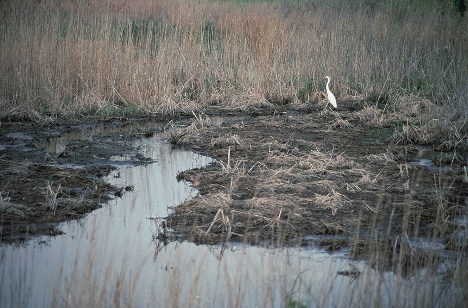 Ethical and Technical Solutions for Climate&nbsp;Change
