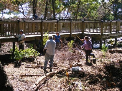 wetland restoration