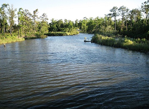 henderson bayou